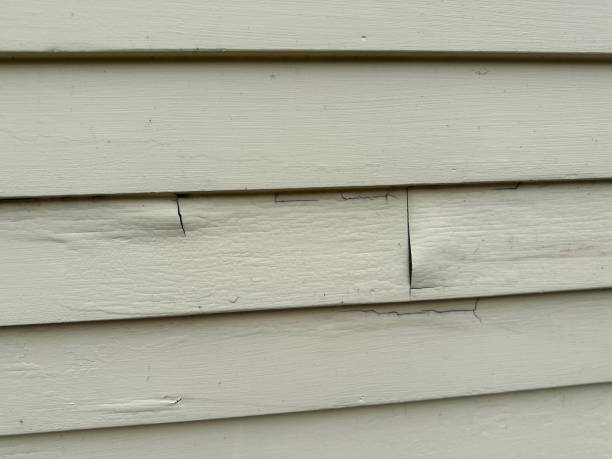 Best Vinyl Siding Installation  in Morehead City, NC